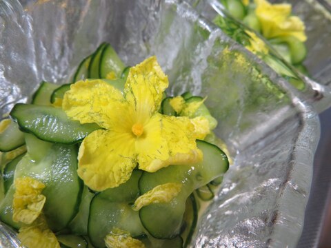 わっ 綺麗 ゴーヤの花とキュウリの酢のもの レシピ 作り方 By 夏はぜ 楽天レシピ わっ 綺麗 ゴーヤの花とキュウリの酢のもの レシピ 作り方 By 夏はぜ 楽天レシピ